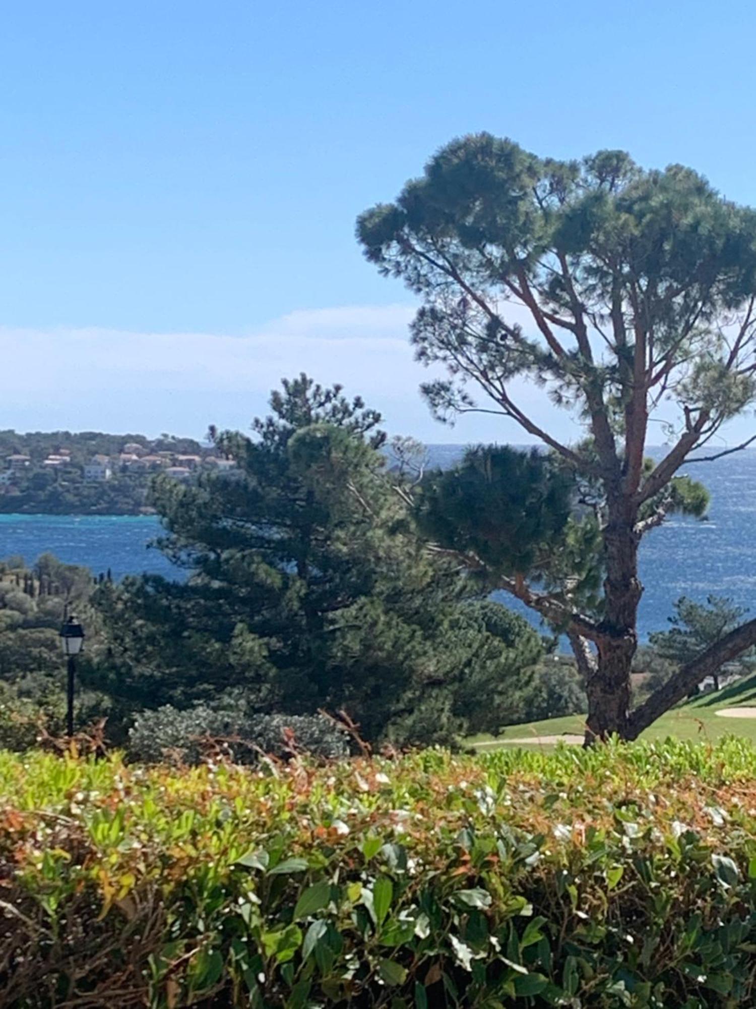 T2 En Rez De Jardin Privatif Cloture , Cap Esterel Pierre Et Vacances ,Piscine Chauffee Des Le 05 Avril Au 02 Novembre Сен-Рафаэль Экстерьер фото